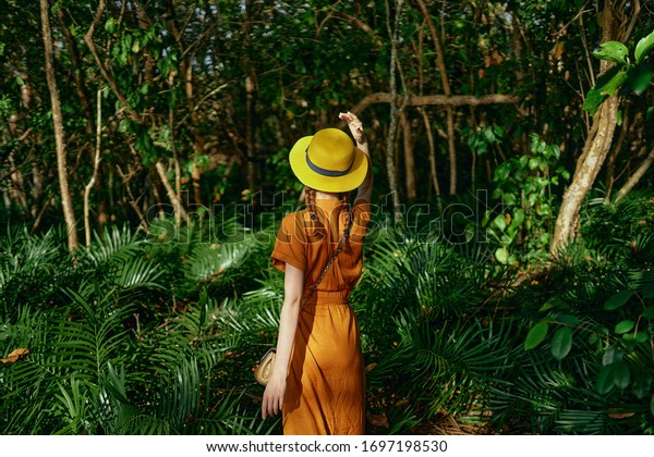  woman in nature look at trees back view               
              