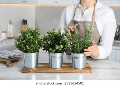 Woman near white marble table with different artificial potted herbs in kitchen, closeup - Powered by Shutterstock