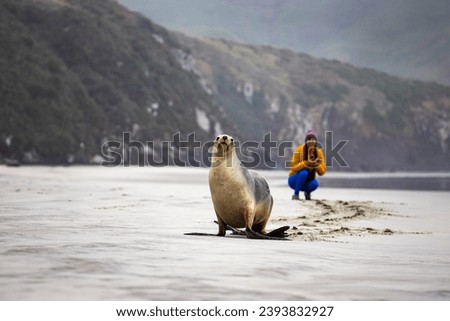 woman and new zealand sea lion posing for a picture together; cute new zealand wildlife spotted in otago peninsula, south island