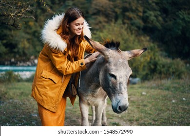 Woman next to a donkey pet animal farming mammals nature care - Powered by Shutterstock