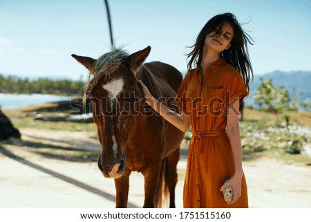 Similar – Image, Stock Photo Brown horse walking on a green field in cloudy weather