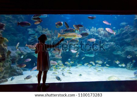 Woman in the oceanarium