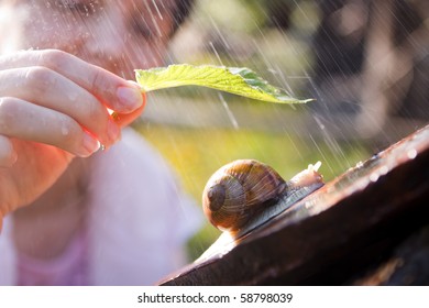 Woman Offering Shelter From The Rain With A Leaf To A Snail