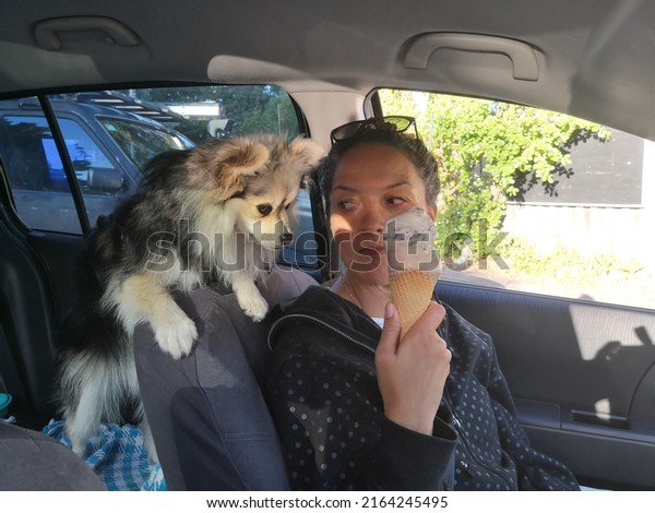 Woman offers ice cream\
to fluffy pet dog