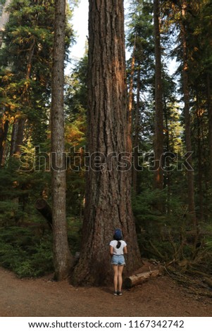 Woman in old-growth forest in Olympic National Park, Washington