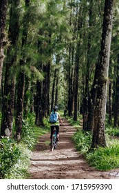 A Woman On A Bicycle In The Middle Of A Forest With Very Tall Trees In Green Tones