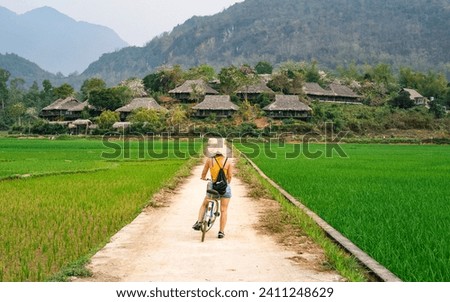 Woman on bicycle wears a typical Vietnamese hat and visits the rice fields of the Mai Chau valley, Vietnam. Typical buildings with thatched roofs among the rice fields in Vietnam.