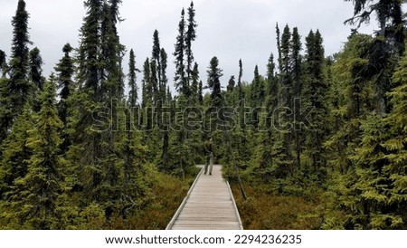 Woman on boardwalk in forest