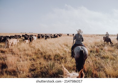Woman on a cattle drive, riding a horse.  - Shutterstock ID 2147586317
