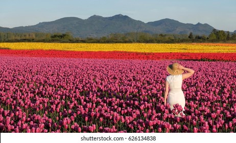 Washington State Tulips Images Stock Photos Vectors Shutterstock