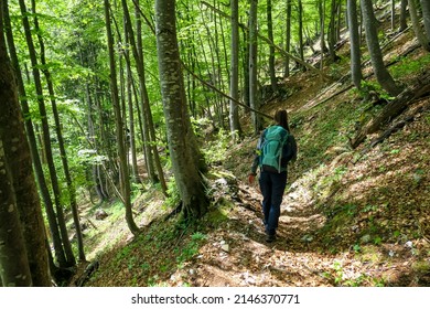 Woman on a hiking trail in the lush green dense forest in the Hochschwab Mountain Region in Styria, Austrian Alps. Forest walk and bathing in the Alps in Europe. Breathing fresh woodland air - Shutterstock ID 2146370771