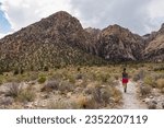 Woman on Ice Box Canyon Trailhead hiking path with scenic view of rugged Spring Mountain range in Red Rock Canyon National Conservation Area in Mojave Desert near Las Vegas, Nevada, USA. Remote place