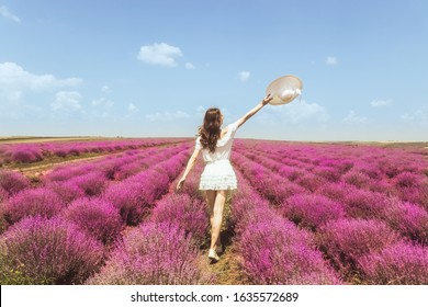 Woman on the lavender field. Woman in white dress and   hat  back view. Goes on lavender rows. girl in white dress and white hat is standing in the lavender field. Soft focus