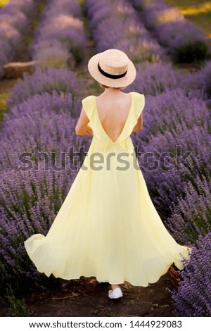 Similar – #A# Lavender walk 1