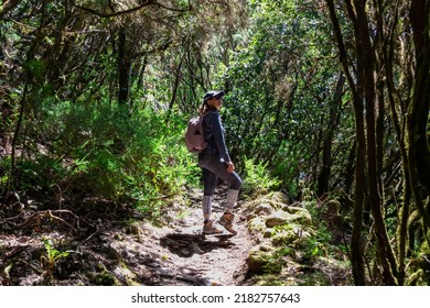 Woman On Mystical Hiking Trail Through The Laurel Forest In Garajonay National Park, La Gomera, Canary Islands, Spain, Europe. Central Ancient Lush Green Laurisilva Forests With Many Endemic Species