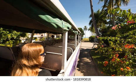 Woman On A Public Bus In Fiji