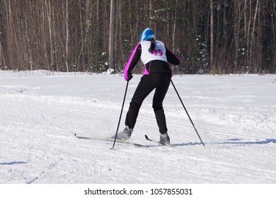 woman on skis, goes skiing in the forest at number 49 finish .