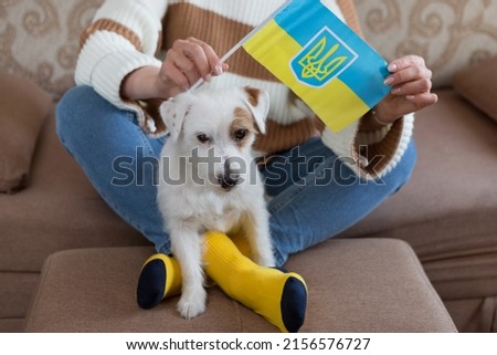 Woman on sofa together with white dog, hands holding flag of ukraine, dog under stress from explosions, concept