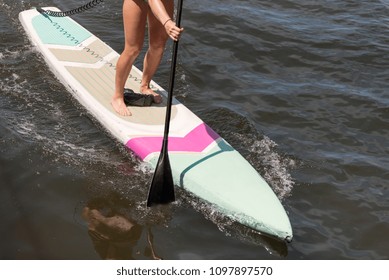 Woman On A Stand Up Paddle Board On The Hillsborough River In Tampa Florida