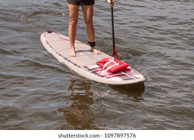 Woman On A Stand Up Paddle Board On The Hillsborough River In Tampa Florida