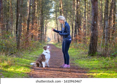 Woman on a trail in the forest training her dog to sit