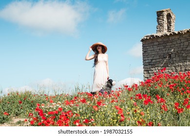 Woman On White Wedding Dress And Dog, Walking On Poppy Meadow With Poppies. Bride And Church On Field With Poppies