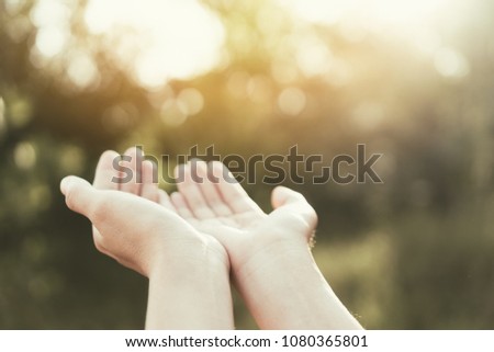 Similar – Image, Stock Photo A hand in light and shadow