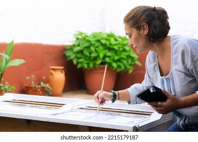 Woman Painting Furniture To Restore In Old Patio With Flowerpots And Whitewashed Walls