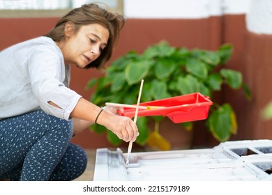 Woman Painting Furniture To Restore In Old Patio With Flowerpots And Whitewashed Walls