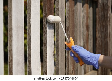 Woman Painting A Garden Fence With White Paint.