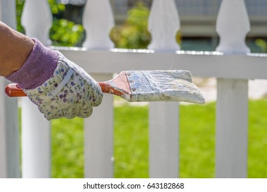 Woman Painting White Picket Fence With Paint Brush - Hands Only, Soft Focus