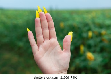 Woman Palm With Flower Petals . Fake Nails Made By Petals