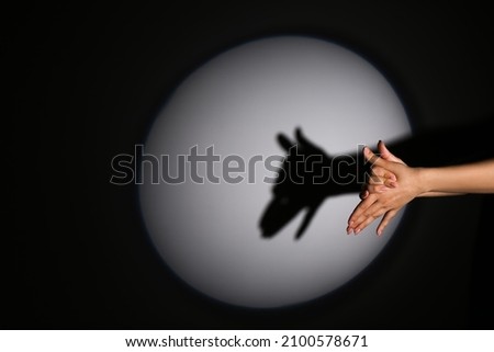 Similar – Image, Stock Photo Shadow play | palm tree and curtain on window