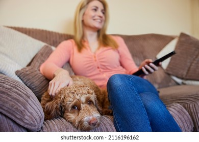 Woman With Pet Cockapoo Dog Relaxing On Sofa Watching TV At Home