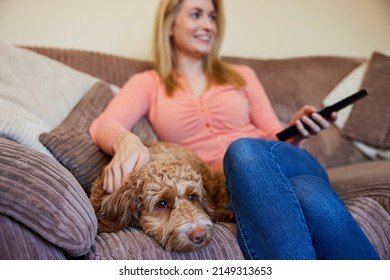 Woman With Pet Cockapoo Dog Relaxing On Sofa Watching TV At Home