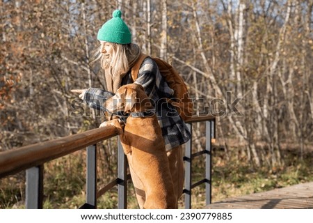 Woman pet owner enjoying walking standing near fence in nature park talking with dog. Female animal friendship, dog friend, pet lover, pastime leisure together concept. Autumn tourism travel vacation.