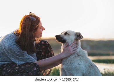 Woman Pets Dog In The Nature At Sunset. Human And Pet Relationship, Communication And Interaction