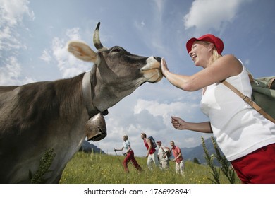 Woman Petting Cow, Kleinwalsertal, Allgau, Germany