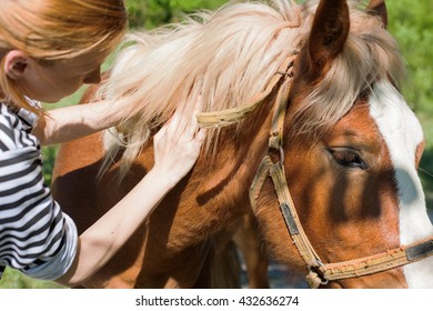 Woman Petting Horse