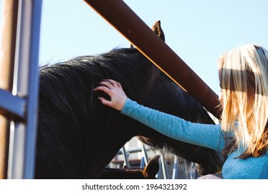 Woman Petting Horse Through Fence Showing Compassion For Equine Pet.