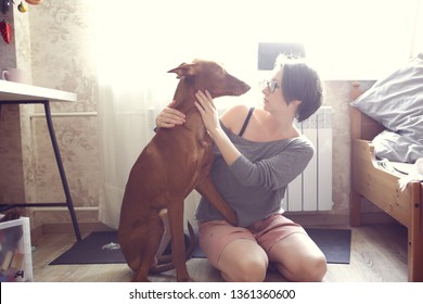 A woman with a Pharaoh's dog is hugging and raising in a real interior, gray toning and lifestyle - Shutterstock ID 1361360600