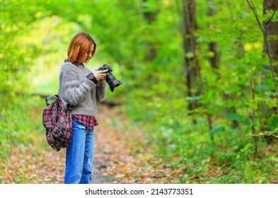 Woman photographer looking on the display of digital camera in autumn forest. Shallow dof