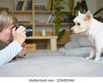 Woman Photographing Dog In Interior