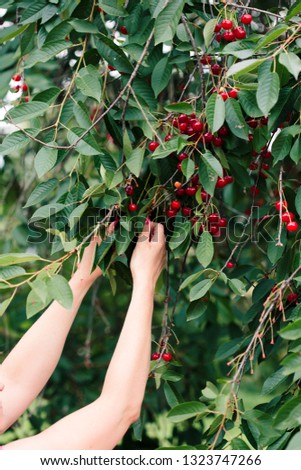 Similar – #A# Good.Cherries.Food.