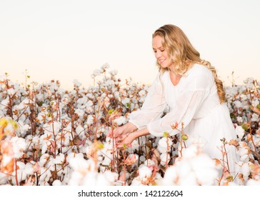 Woman Picking A Cotton Boll From A Field Of Cotton