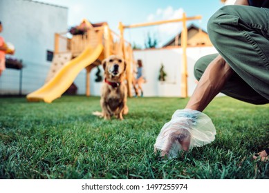 Woman Picking Up Dog Poop From The Lawn At The Backyard