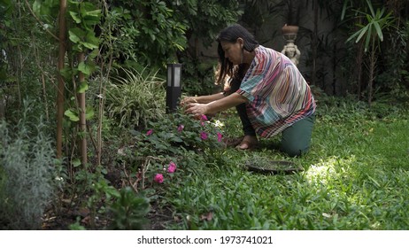 Woman Picking Herbs From Her Garden Orchard