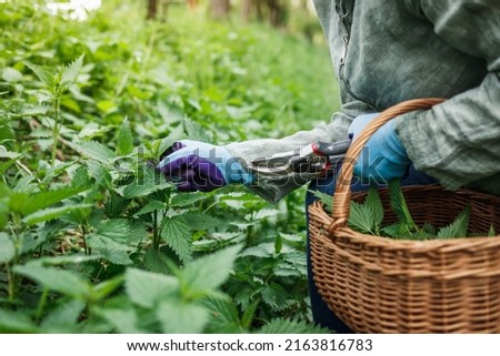 Similar – berry picking Food Fruit