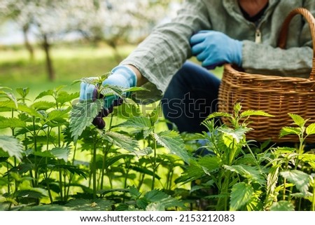 Similar – berry picking Food Fruit