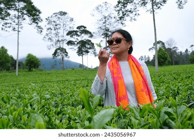 Woman picking up newly grown tea leaves and smell them to test the quality - Powered by Shutterstock